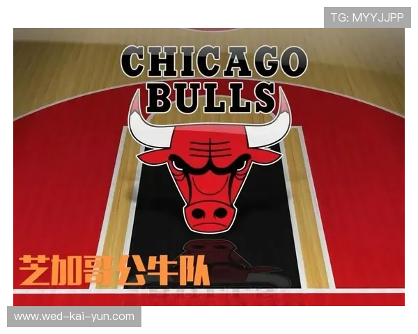 公牛队逐步崭露头角，迎接未来，公牛队是啥